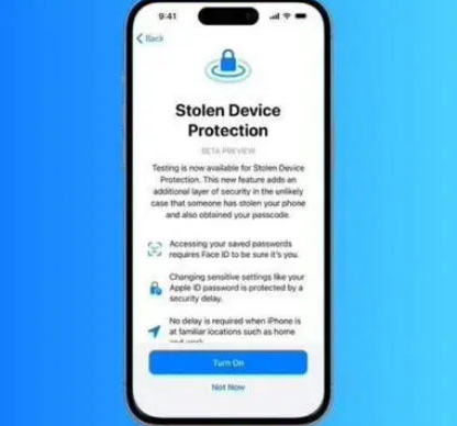 大田镇苹果授权维修店分享被盗设备保护功能开启方法 