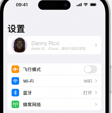 大田镇appleID维修服务iPhone设置中Apple ID显示为灰色无法使用 