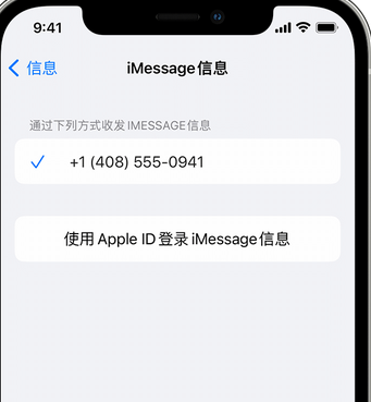 大田镇apple维修iPhone上无法正常发送iMessage信息 