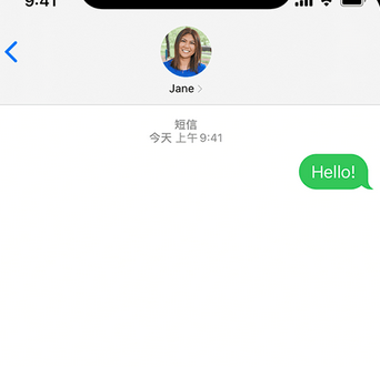 大田镇apple维修iPhone上无法正常发送iMessage信息