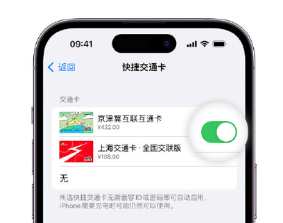 大田镇apple维修点分享iPhone上更换Apple Pay快捷交通卡手绘卡面 