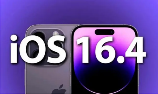 大田镇苹果14维修分享：iPhone14可以升级iOS16.4beta2吗？ 