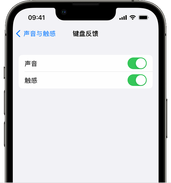 大田镇苹果14维修店分享如何在 iPhone 14 机型中使用触感键盘 