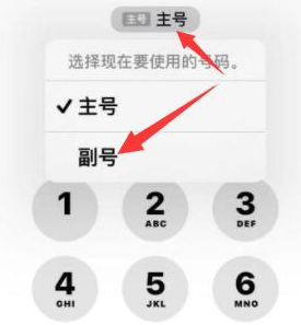 大田镇苹果14维修店分享iPhone 14 Pro Max使用副卡打电话的方法 