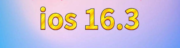 大田镇苹果服务网点分享苹果iOS16.3升级反馈汇总 