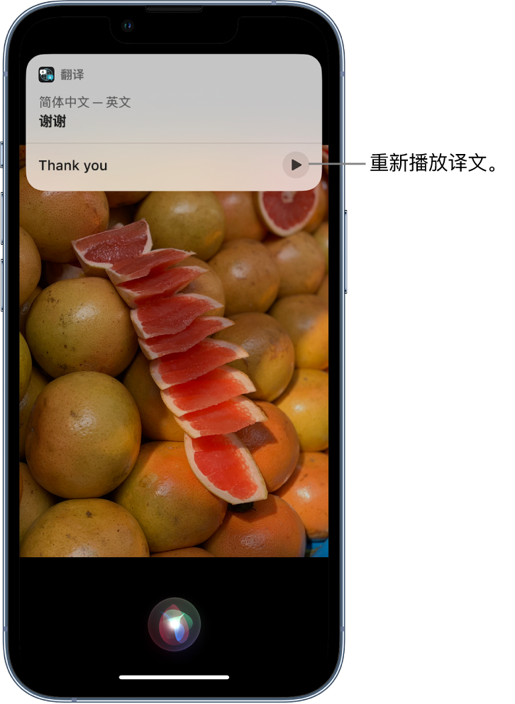 大田镇苹果14维修分享 iPhone 14 机型中使用 Siri：了解 Siri 能帮你做什么 