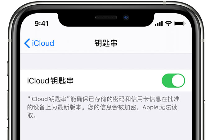 大田镇苹果手机维修分享在 iPhone 上开启 iCloud 钥匙串之后会储存哪些信息 