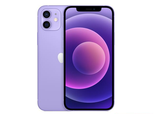 大田镇苹果手机维修分享现阶段要不要入手紫色版iPhone12 