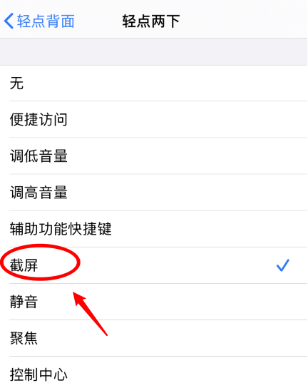 大田镇苹果手机维修分享iPhone12如何启用双击截屏 