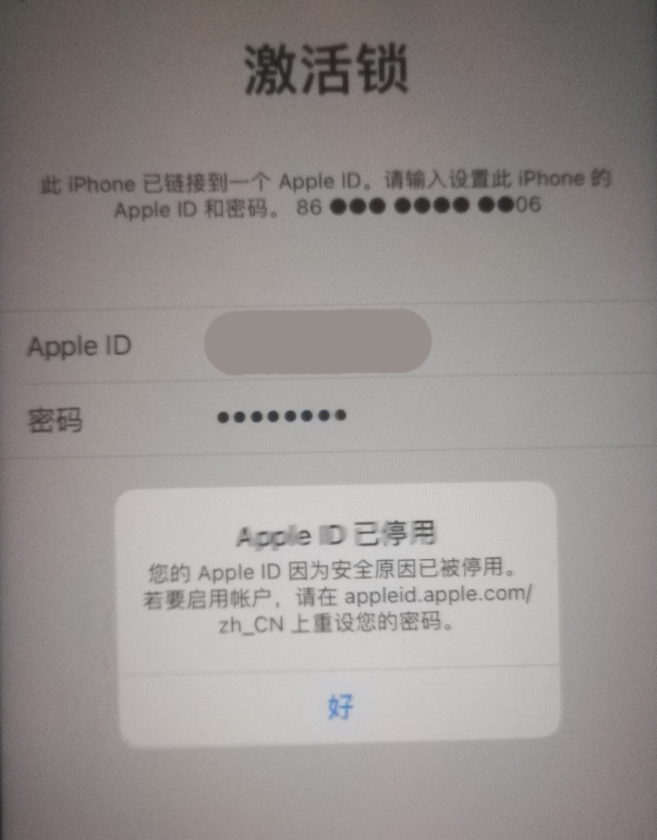 大田镇苹果手机维修分享iPhone 12 出现提示“Apple ID 已停用”怎么办 